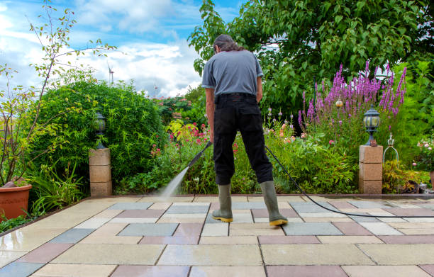 Best Fence Cleaning  in Walsenburg, CO