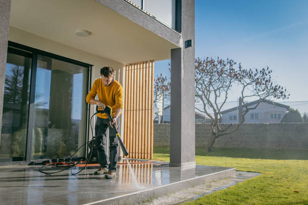 Best Sidewalk and Walkway Cleaning  in Walsenburg, CO